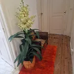 D&n Hostal Lisboa