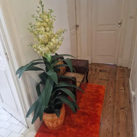 D&n Vandrerhjem Lisboa